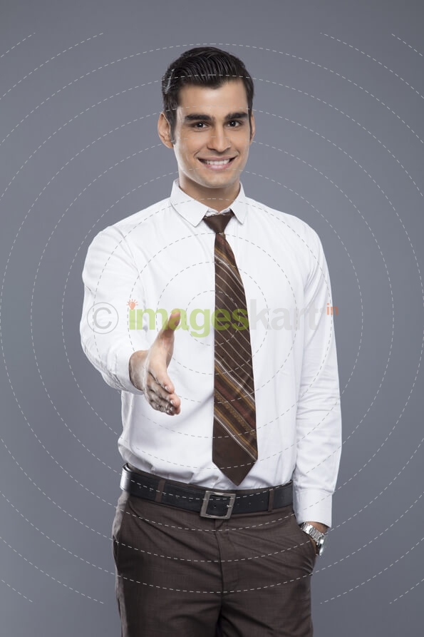 professional man shaking hands 