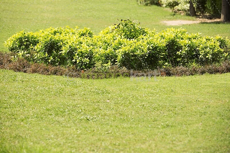 view of a park