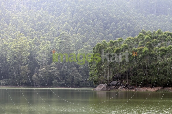 lake and mountains 