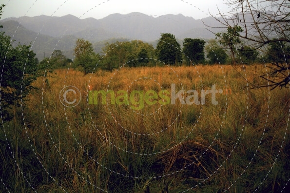 nature and mountains 