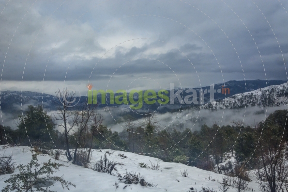 Snow Landscape
