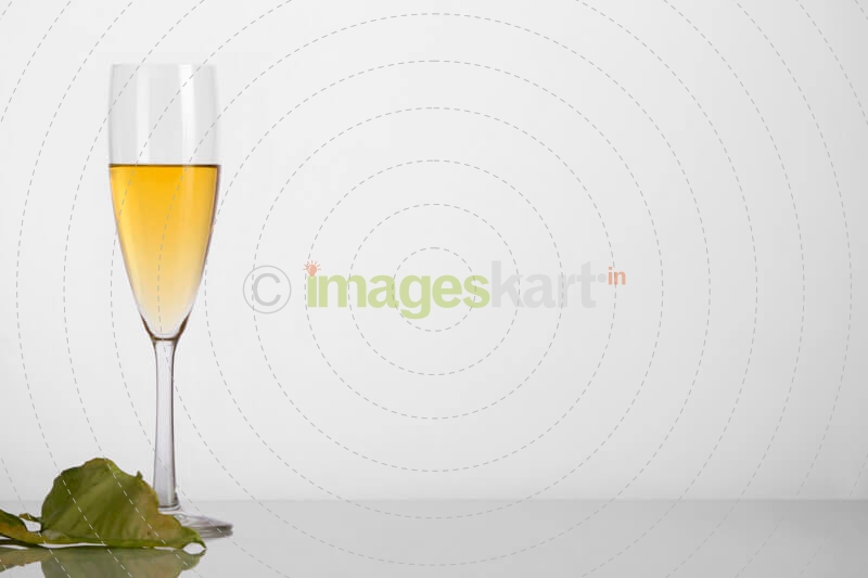 champagne glass with white background and leaf