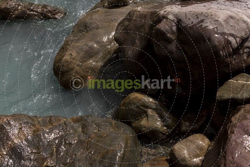 water flowing through stones
