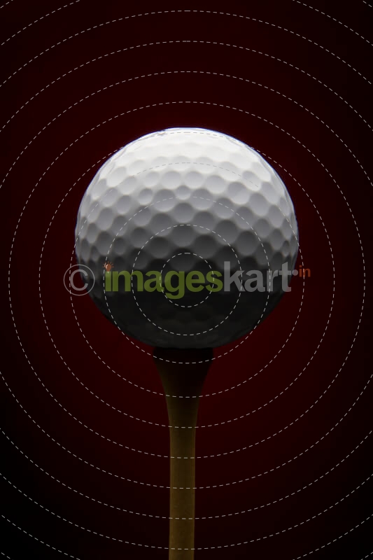 golf ball on a ball pin 