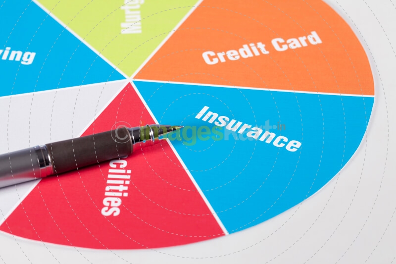 pie chart of home finances