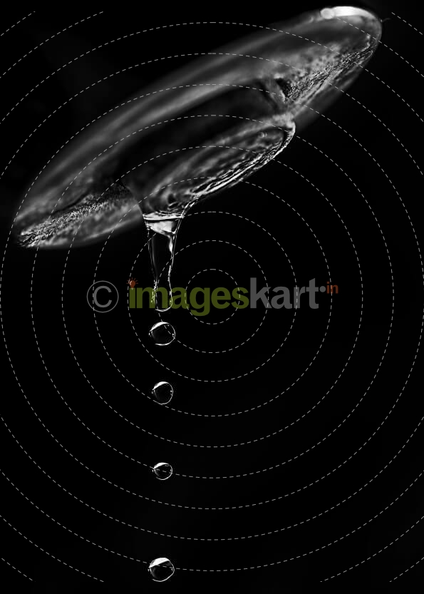 Water Drops