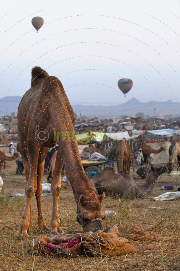 hot air balloons flying over a tribal area