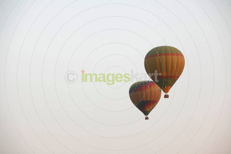 hot air balloons at the pushkar fair