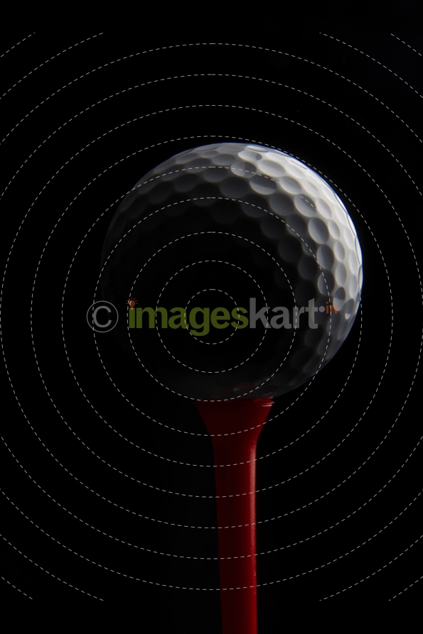 close up of golf ball on a golf tee
