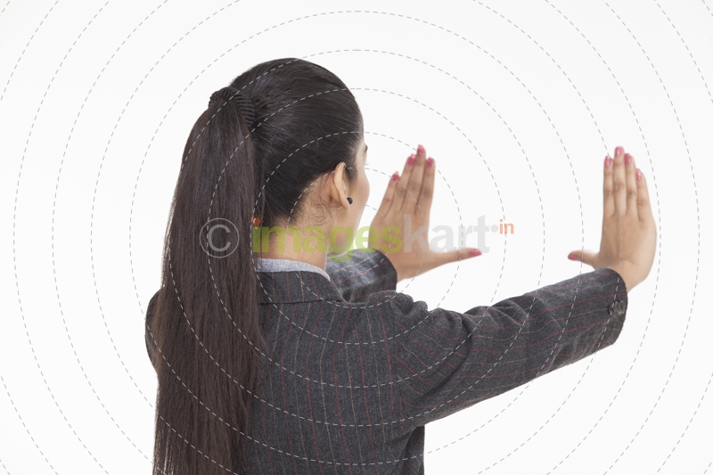 back view of a businesswoman explaining