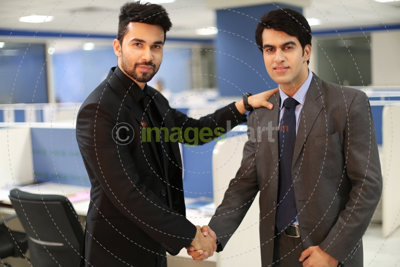 professional men shaking hands 