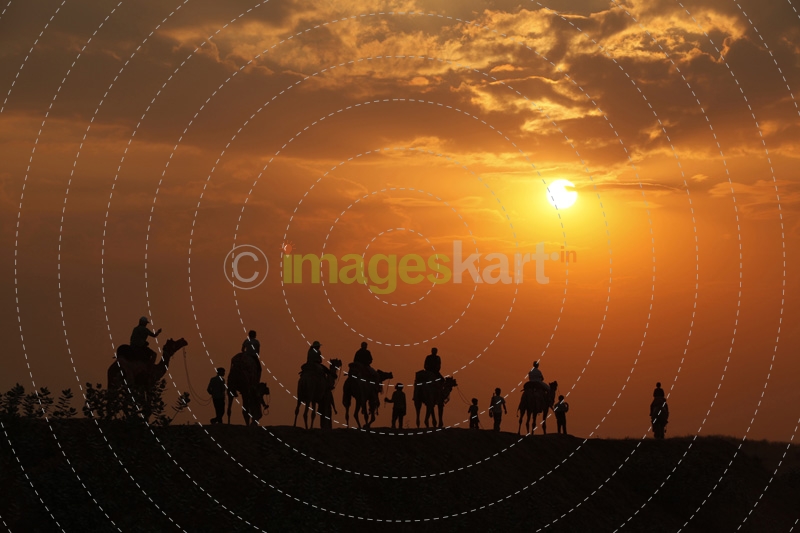 tourists taking camel ride