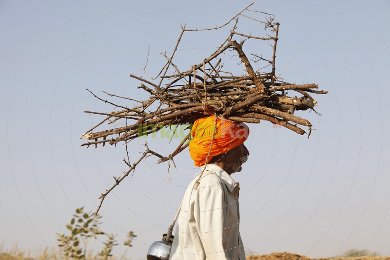 old-aged villager carrying firewoods