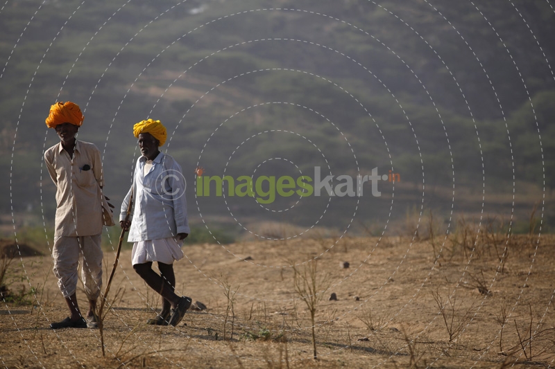 rajasthani villagers herding in the desert
