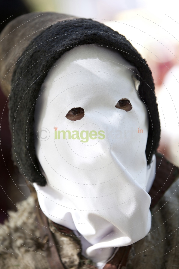 people with traditional masks at the ladakh festival