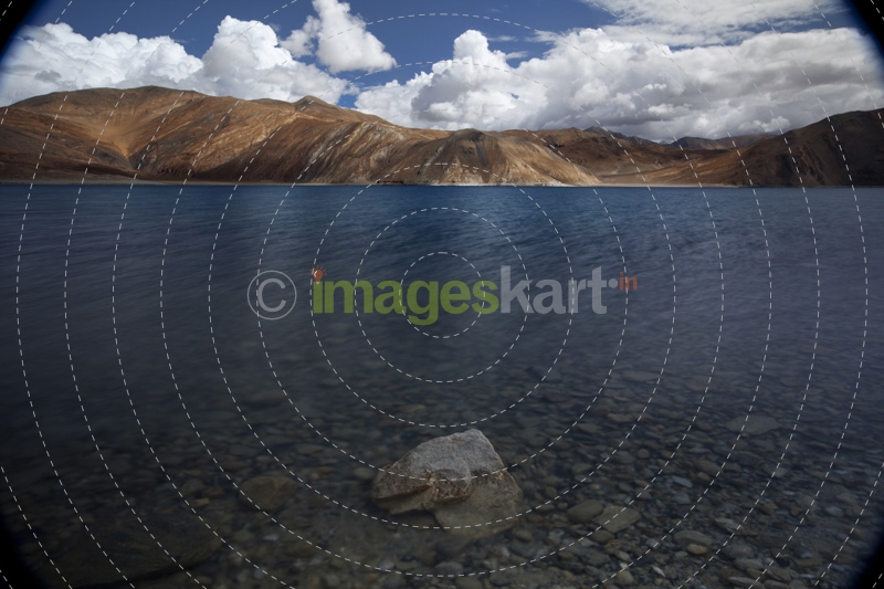 panoramic view of beautiful river with mountains in the background 