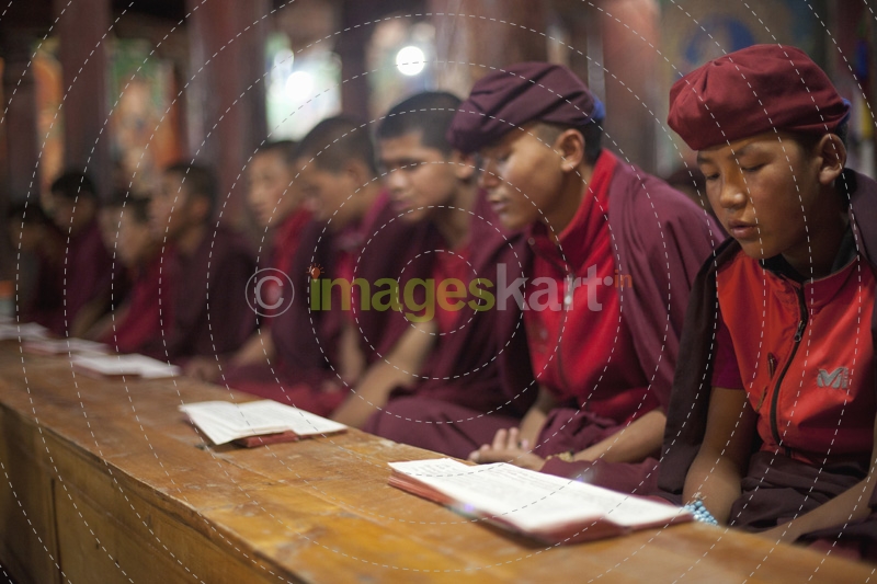 children at the buddhist school 