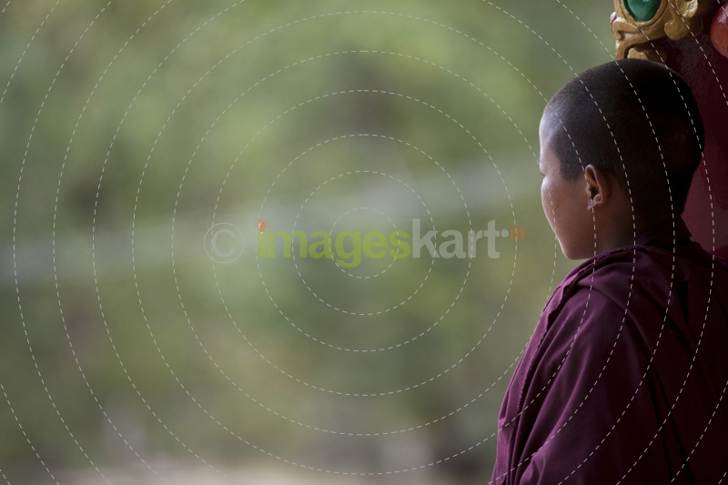 buddhist child at the buddhist temple 