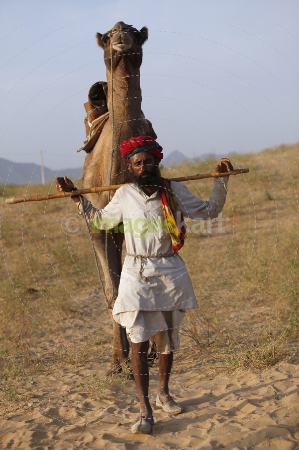 villager walking on field with camel 