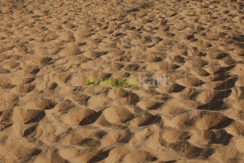 close up view of desert sand in rajasthan