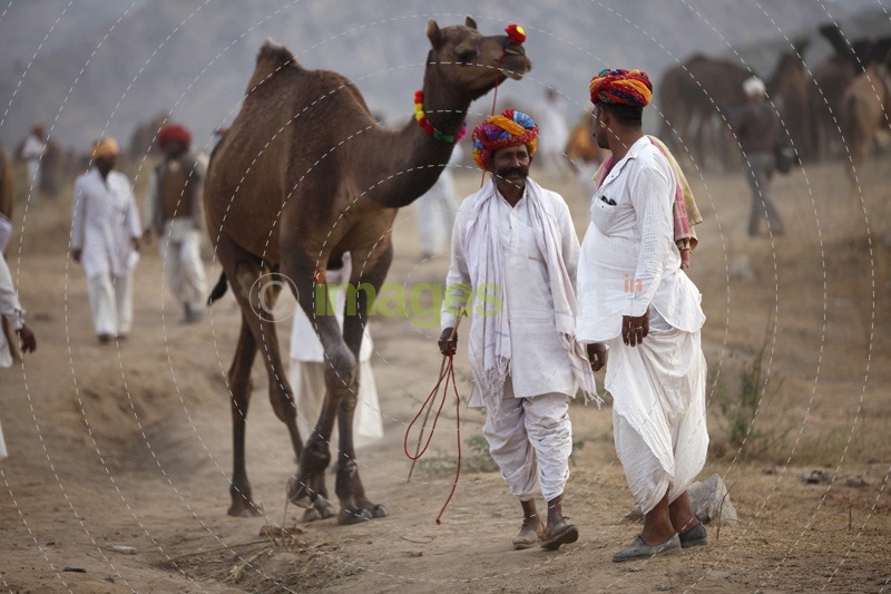 villagers at pushkar camel mela