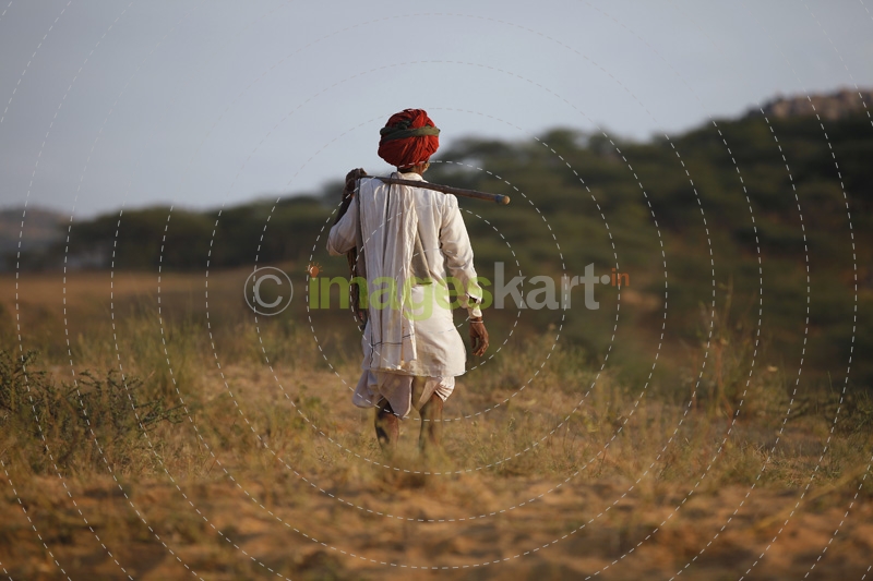 back view of villager walking down the agricultural field 