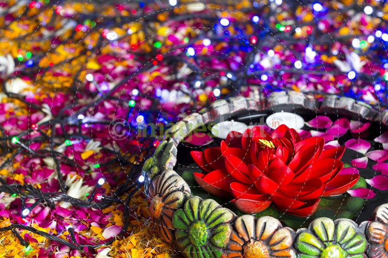 flowers in and around decorative pot