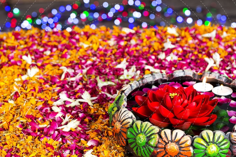flowers in and around decorative pot