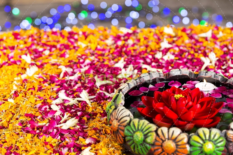 flowers in and around decorative pot