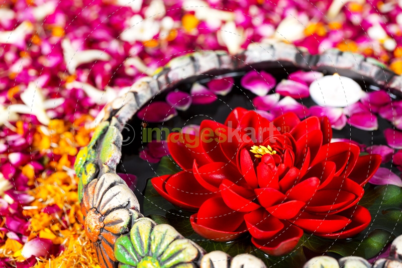 flowers in decorative pot