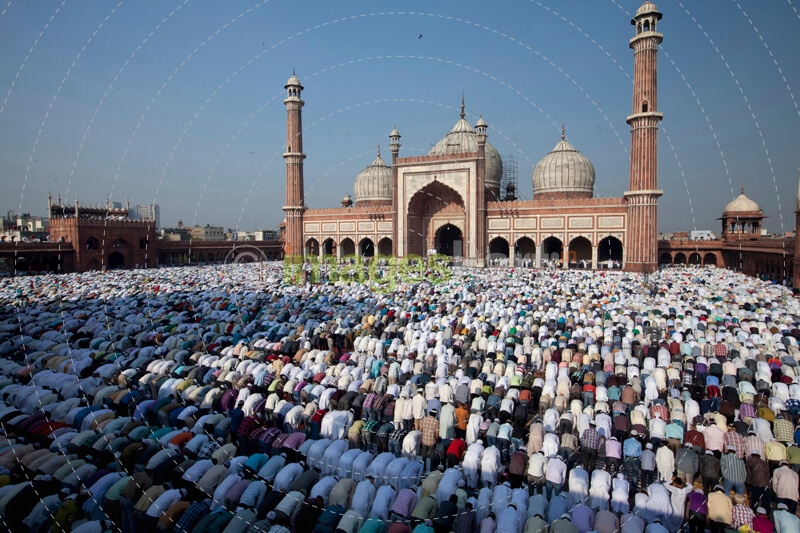 huge crowd bowing during prayer meeting at jama masjid 