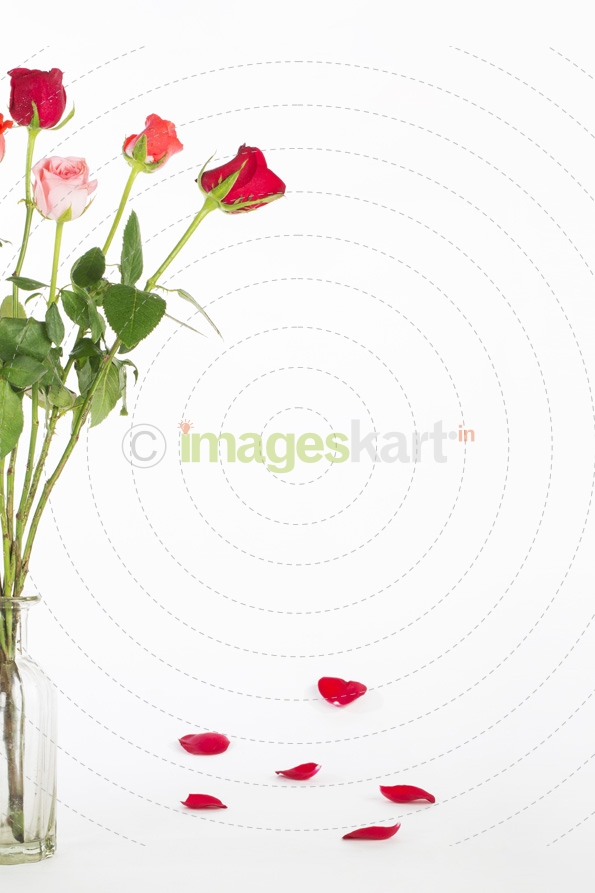 glass vase with fresh flowers against a white background