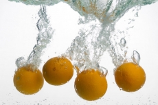 oranges in water against white background