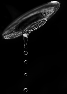 Water Drops