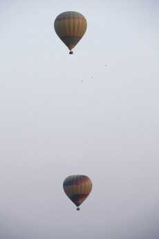 hot air balloons at the pushkar fair