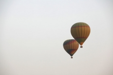 hot air balloons at the pushkar fair