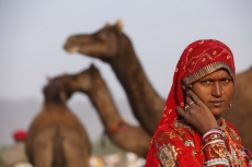 village woman standing against the background of camels