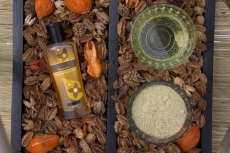 ayurveda and ayurvedic treatment