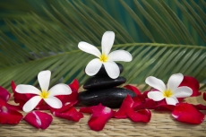 spa treatment 