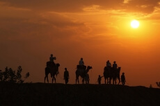 tourists taking camel ride