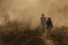 villagers walking with a group of camels   