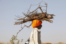 old-aged villager carrying firewoods