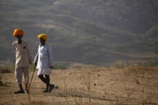 rajasthani villagers herding in the desert