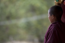 buddhist child at the buddhist temple 