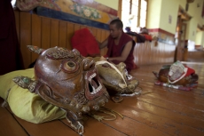 man getting ready for the festival