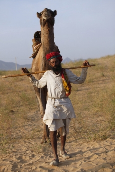 villager walking on field with camel 
