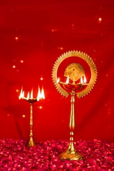 lighting lamps and red roses