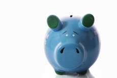 piggy bank 