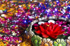 flowers in and around decorative pot