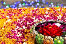 flowers in and around decorative pot